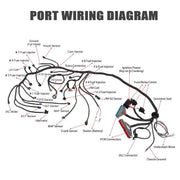 DURAFORCE LS SWAPS DBC 4.8-6.0 1999-2006 LS1 4L60E Standalone Wiring Harness NEW