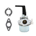 DURAFORCE Briggs & Stratton 696065 Tiller Carburetor with Gasket for Mower