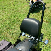 DURAFORCE Sissy Bar Backrest For Harley Sportster Iron 883 1200 Forty Eight 2004-2022