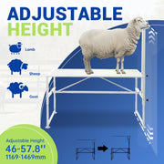 DURAFORCE 51"x23" Goat Milk Livestock Stand Husbandry Trimming Adjustable Height 19"-33"