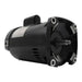 DURAFORCE B2854 B2854V1 115/230V 1.5HP Square Flange Replacement Motor Pool Pump Motor