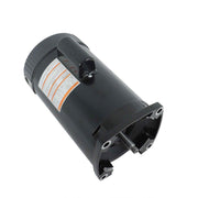 DURAFORCE B2852 3450RPM 115/230V 3/4 HP Pump Motor Square Flange Stainless Steel Pool Pump