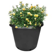 DURAFORCE 5X 25gallon Black Plastic Heavy Duty Pot Premium Nursery Plant Container Garden