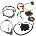 DURAFORCE Ignition Coil Magneto Stator Wire Harness CDI Kit For Yamaha Warrior 350 YFM350X