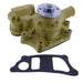 DURAFORCE Water Pump 6204-61-1101 for Komatsu 3D95S 4D95 4D95L PC60-5 PC75UU-2 PC120-5