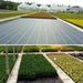 DURAFORCE 3×200FT Weed Control Membrane Garden Ground Cover Mat Landscape 3.2oz