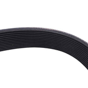 DURAFORCE Fan Belt 3100189 013216318 356541C3 12PK2315 for Cummins ISX15 Engine