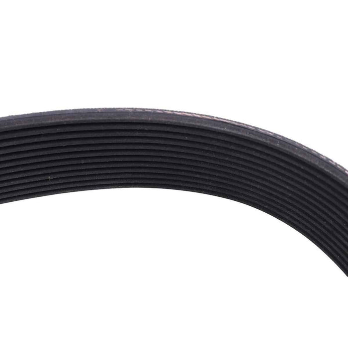 DURAFORCE Fan Belt 3100189 013216318 356541C3 12PK2315 for Cummins ISX15 Engine