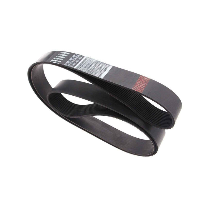 DURAFORCE Fan Belt 3100189 013216318 356541C3 12PK2315 for Cummins ISX15 Engine