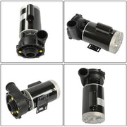 DURAFORCE Spa & Hot Tub Pump Repair Parts 3721221-1D 56Y Frame 230 V 2-Speed 3 HP Spa Pump