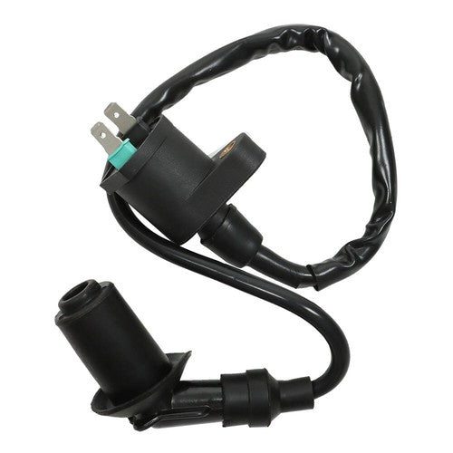 DURAFORCE Stator Ignition Coil Spark Plug For Honda 31120-GW8-671 XR50R 00-03 XR70R 97-03