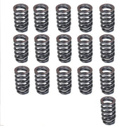 DURAFORCE For all LS Engines - .600" Lift Rated PAC-1218 Drop-In Beehive Valve Spring Kit