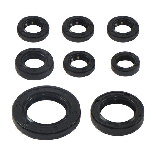 DURAFORCE Overhaul pad+oil seal 808867 2000-2006 For Honda TRX 350TE Rancher ES TRX 350