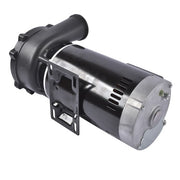 DURAFORCE 56 Frame Spa Pump Motor 4HP 230V Dual-Speed Spa Pump Replacement 3721621-1D