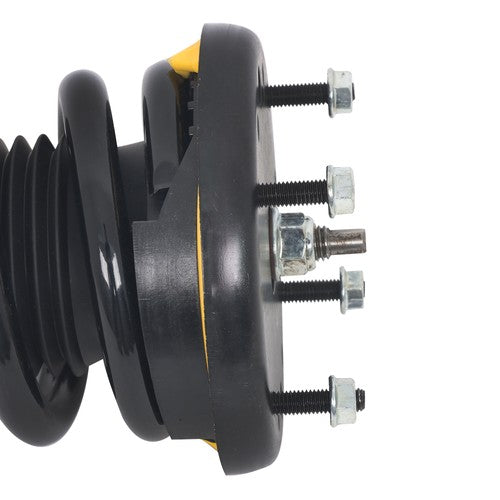 DURAFORCE Pair Rear Shock Struts Assys Coil Spring w/o Electric For Jaguar XJ Series 10-18