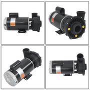 DURAFORCE 3722021-1D Spa Pump 5.0HP 230V 2" Discharge 2-Speed 56Y-Frame Hot Tubs Black