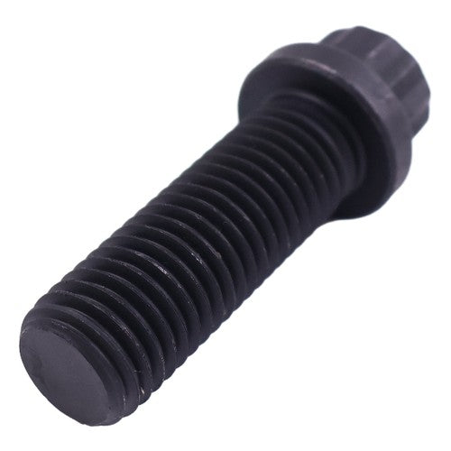 205584 Twelve Point Cap Screw