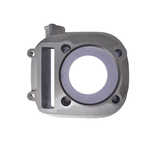 DURAFORCE Cylinder Piston Gasket Top End Kit For Yamaha Timberwolf 250 YFM250 1989-2000 US
