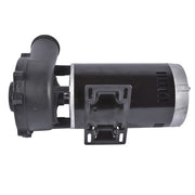 DURAFORCE 4 HP 56Y Frame 230 Volt Dual-Speed Swimming Hot Tub & Spa Pump For 3711621-1D