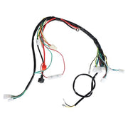 DURAFORCE For ATV UTV GoKart Taotao 50 70 90 110 125CC Electric Wiring Harness New