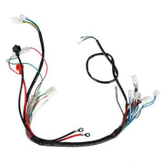 DURAFORCE For ATV UTV GoKart Taotao 50 70 90 110 125CC Electric Wiring Harness New