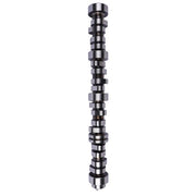DURAFORCE Camshaft 12625437 for Chevy Colorado Express 1500 2500 3500 4.8L 5.3L 2008-2017