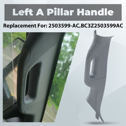 Left Driver A Pillar Handle Trim Gray For Ford F250 F350 F550 2011 2016
