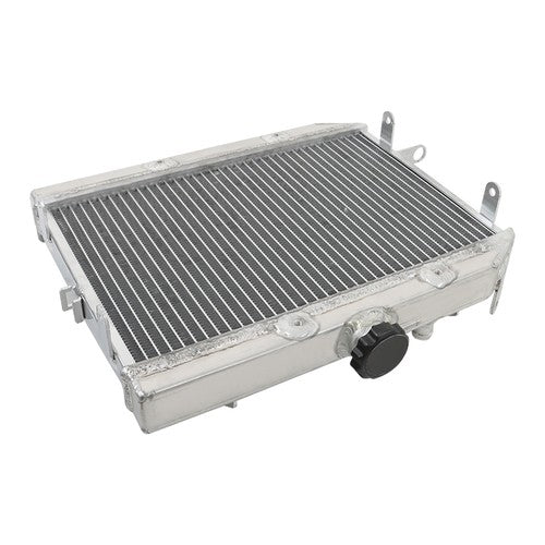DURAFORCE Radiator For Honda Rincon 650 680 TRX650FA TRX680FA 4x4 06-23 19010-HN8-A61