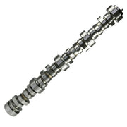 DURAFORCE Engine Camshaft .585/.585 Hydraulic Roller for Chevy Pontiac LS LS1 Cam