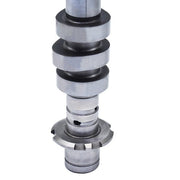 DURAFORCE 5L1Z6250BA Right Camshaft For 05-10 Ford Lincoln Expedition Explorer 4.6L V8