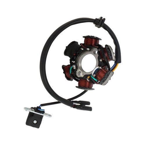 DURAFORCE 6 Coil Pole Magneto Flywheel Stator 50cc 70cc 110cc 125cc PIT Quad Dirt Bike ATV