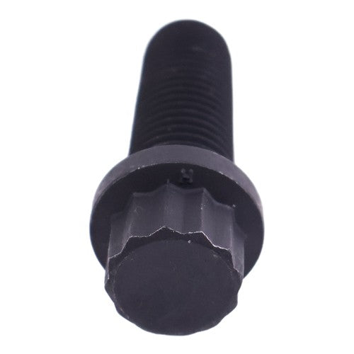 205584 Twelve Point Cap Screw