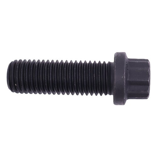 205584 Twelve Point Cap Screw