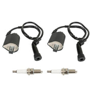 DURAFORCE For Suzuki Intruder VS1400 1987-2009 2 x Ignition Coil & Spark Plug