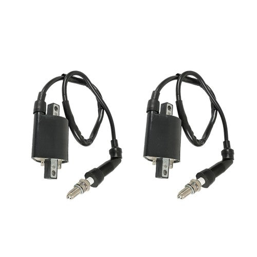 DURAFORCE For Suzuki Intruder VS1400 1987-2009 2 x Ignition Coil & Spark Plug