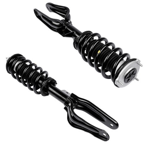 DURAFORCE 2x Shock Strut Assembly Front Left and Right for Tesla Model 3 M3 AWD 2017-2021