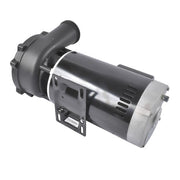DURAFORCE 4 HP 230V 2-Speed Executive 56 Frame Spa Pump Black Side Discharge 3721621-13