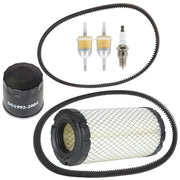 DURAFORCE Gas Golf Cart Fit For Club Car Precedent 2004+ W/ FE350 motor Tune Up Kit Belts