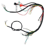 DURAFORCE For ATV UTV GoKart Taotao 50 70 90 110 125CC Electric Wiring Harness New