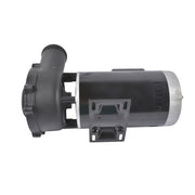 DURAFORCE 4 HP 230V 2-Speed Executive 56 Frame Spa Pump Black Side Discharge 3721621-13