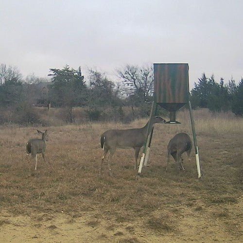 Steel 450lb Gravity Feeder Zinc Plated For Deer Turkey Big Wild Game Hunting