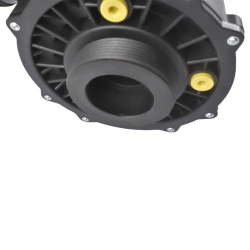 DURAFORCE 4 HP 230V 2-Speed Executive 56 Frame Spa Pump Black Side Discharge 3721621-13