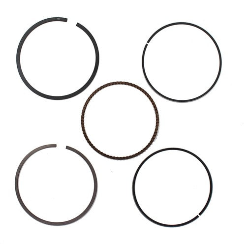 DURAFORCE Fit For Honda Fourtrax 300 & TRX300EX Sportrax Piston Rings Standard Bore 74mm