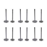 DURAFORCE 12PCS Valves Intake Exhaust Set For Ford Explorer Mustang 4.0L 2005-2010