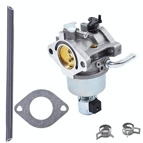 DURAFORCE Carburetor Kit For Briggs & Stratton 796250 795486 794136 591736 33M977 31Q677