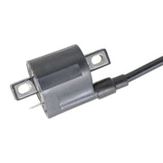 DURAFORCE CDI Ignition Coill + Spark Plug For Yamaha Badger 80 Grizzly 80 Raptor 80 YFM80