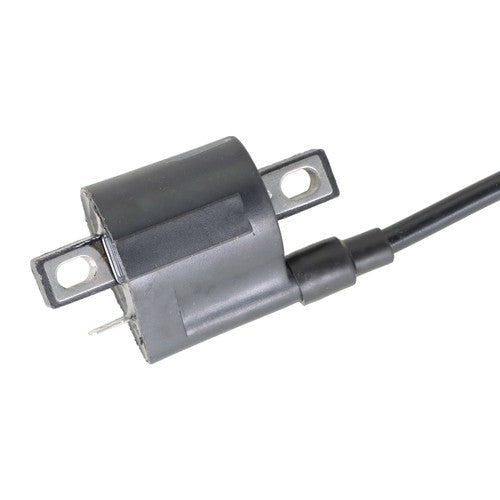DURAFORCE CDI Ignition Coill + Spark Plug For Yamaha Badger 80 Grizzly 80 Raptor 80 YFM80