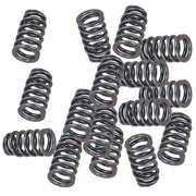 DURAFORCE For all LS Engines - .600" Lift Rated PAC-1218 Drop-In Beehive Valve Spring Kit