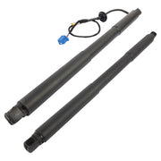 DURAFORCE 2× Rear Trunk Lift Support Shocks for Mercedes X166 GL350 GL450 GL550 2013-2016