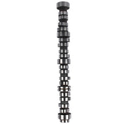DURAFORCE Engine Camshaft for Cadillac Escalade Chevy Avalanche Silverado GMC Yukon Sierra